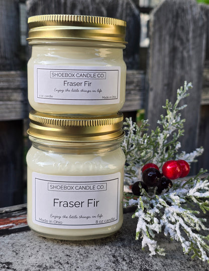 Fraser Fir