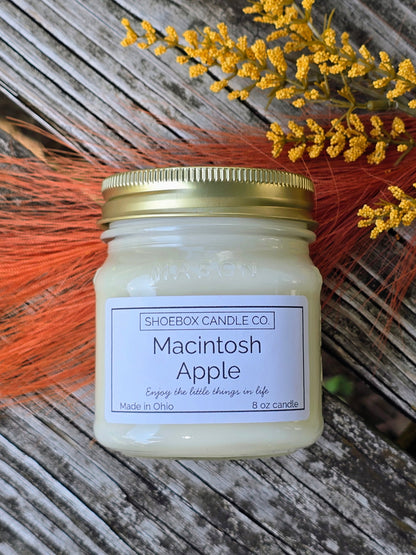 Macintosh Apple