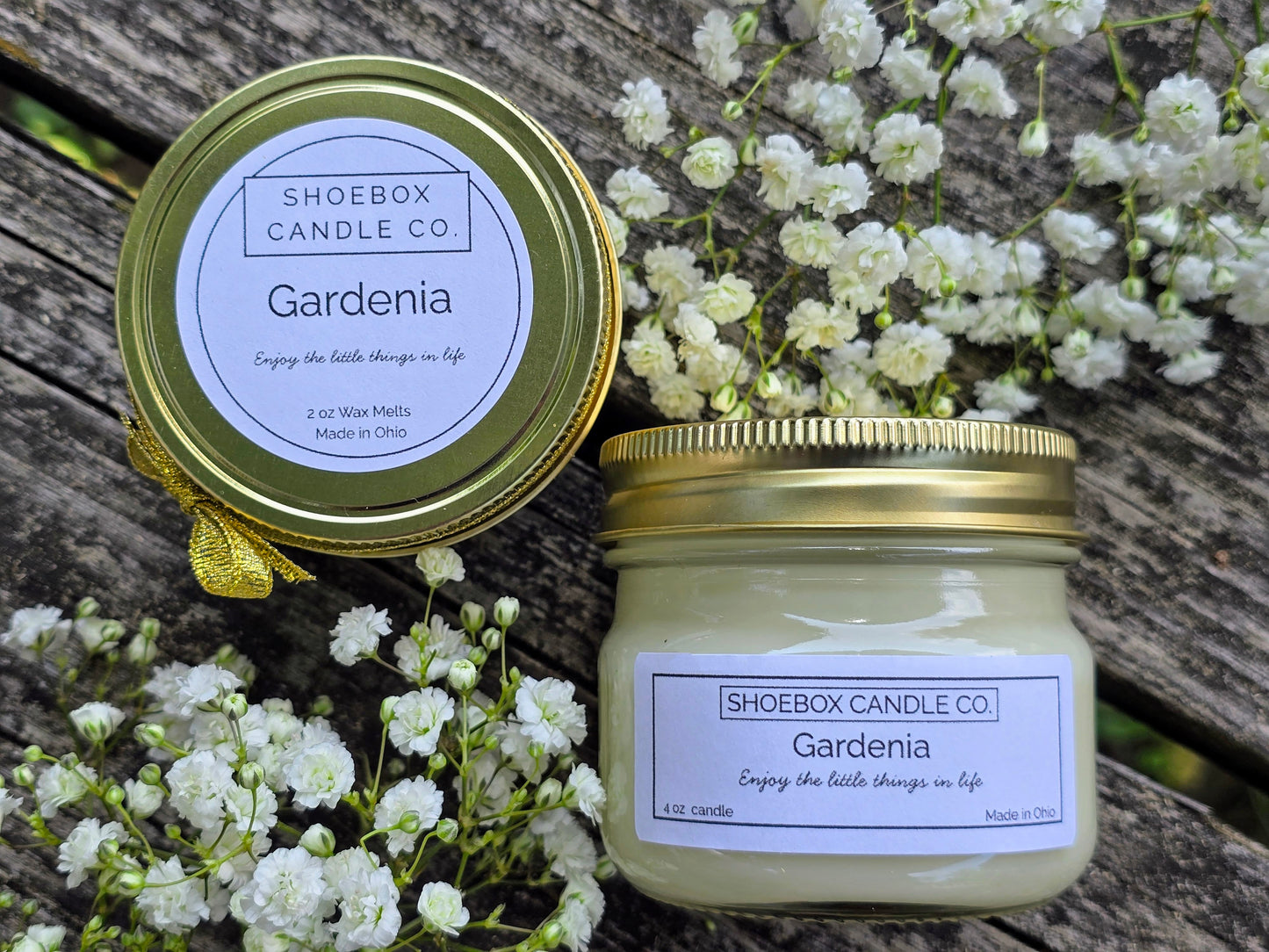 Gardenia